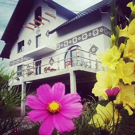 Casa Aureliana Βίλα Ciocanesti Εξωτερικό φωτογραφία