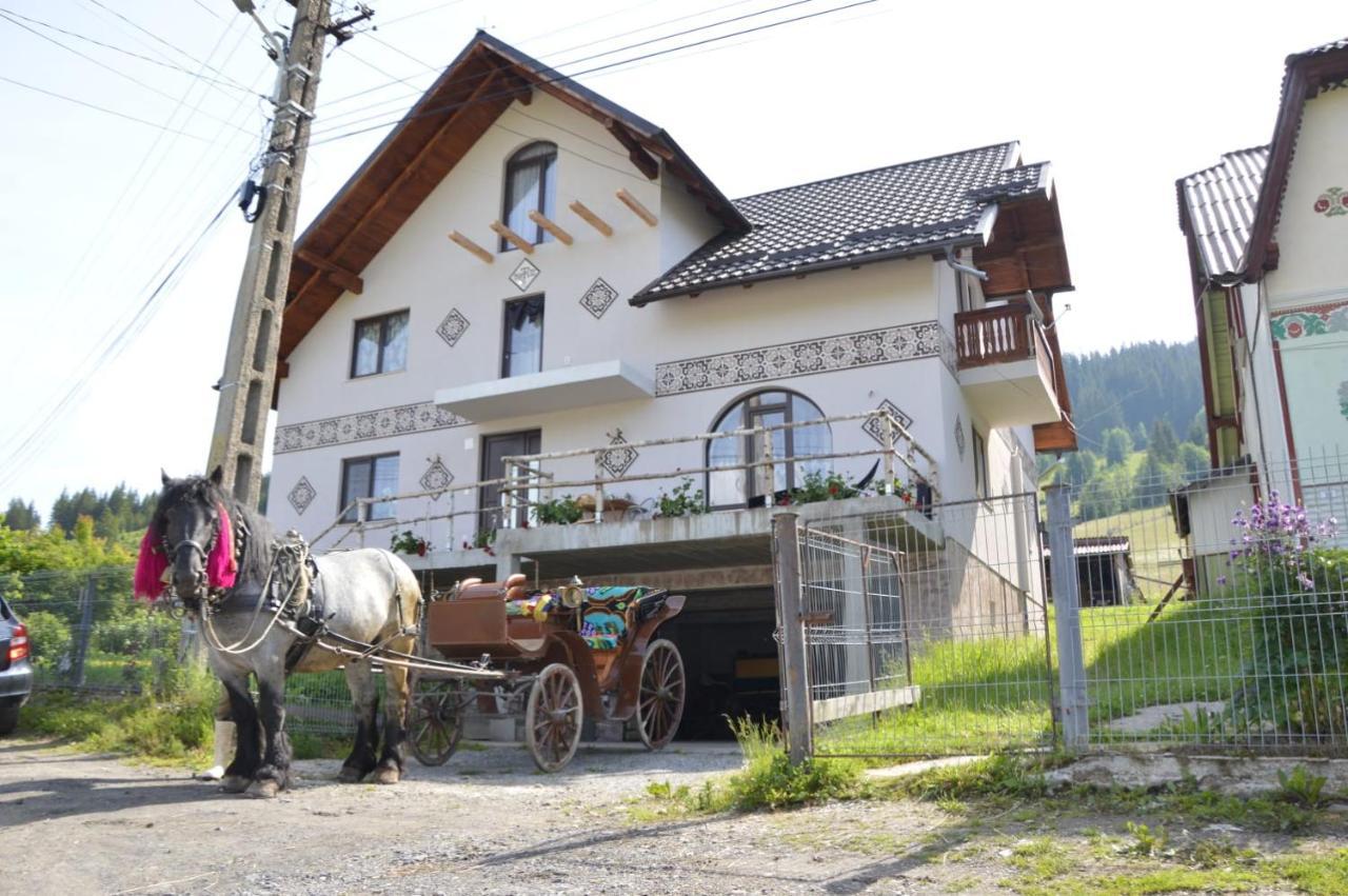 Casa Aureliana Βίλα Ciocanesti Εξωτερικό φωτογραφία
