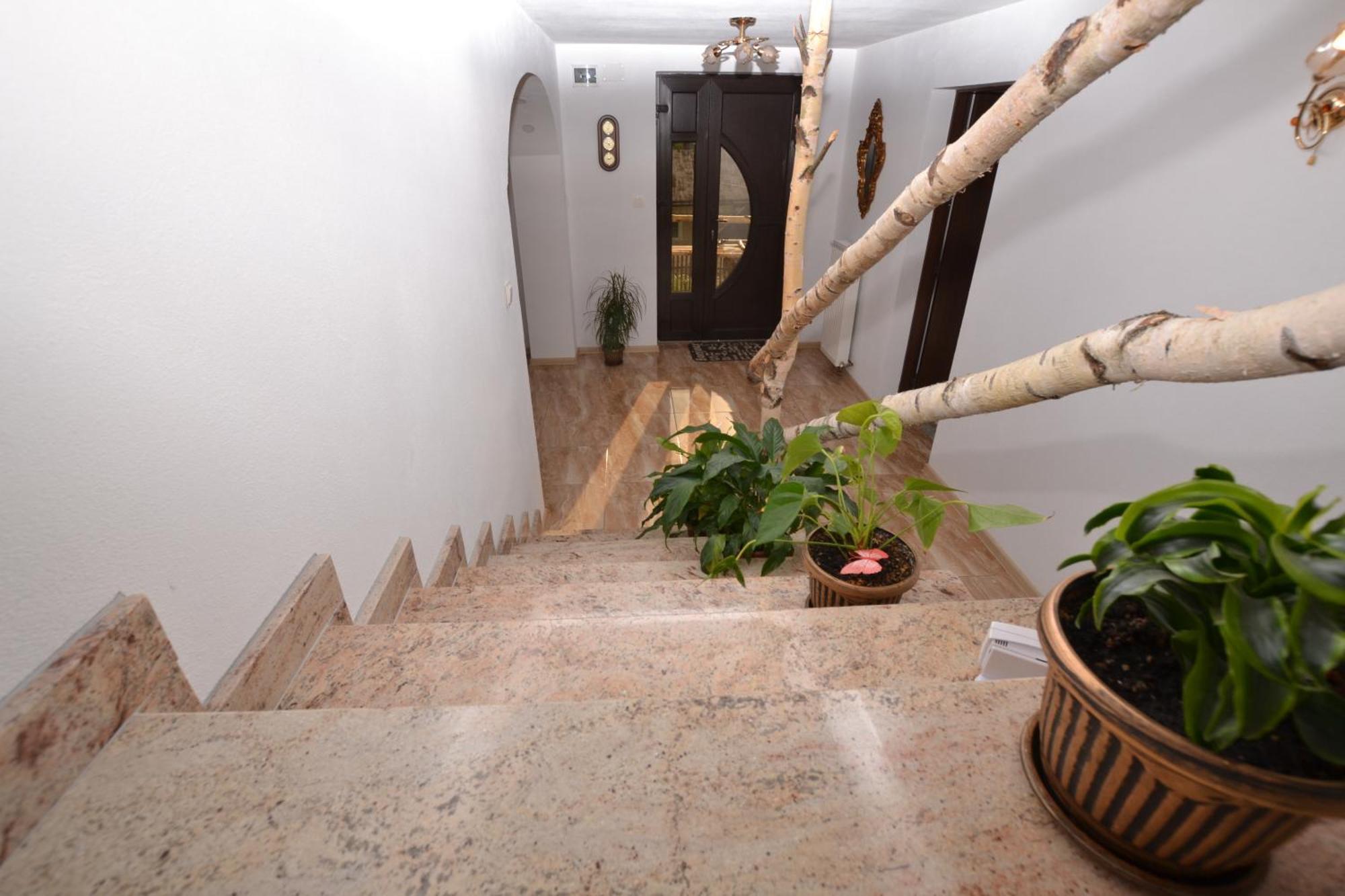 Casa Aureliana Βίλα Ciocanesti Εξωτερικό φωτογραφία